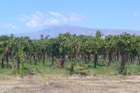 Haga click para ampliar!