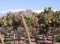 Haga click para ampliar!