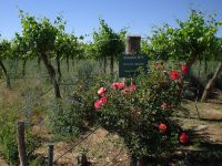 Haga click para ampliar!