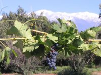 Haga click para ampliar!