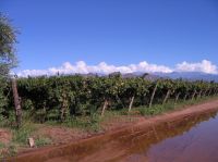 Haga click para ampliar!