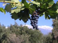 Haga click para ampliar!