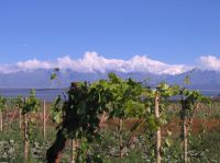 Haga click para ampliar!