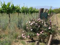 Haga click para ampliar!