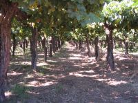 Haga click para ampliar!