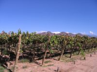 Haga click para ampliar!