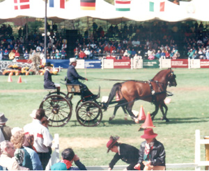 Competencia de Carruajes Antiguos de Tiro