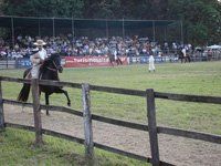 Competencia de Caballos de Paso