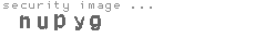 security image